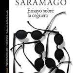 Resumen de Ensayo sobre la ceguera de Saramago